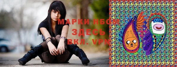 СК Белокуриха