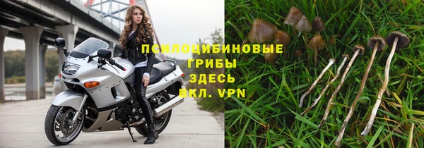 ешки Беломорск