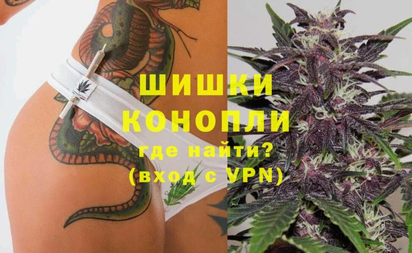 СК Белокуриха