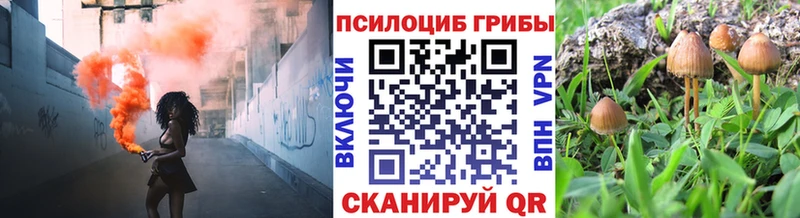 Псилоцибиновые грибы Cubensis кракен Новокубанск