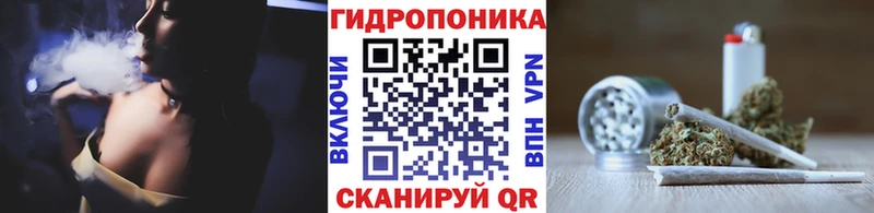 Конопля MAZAR Новокубанск